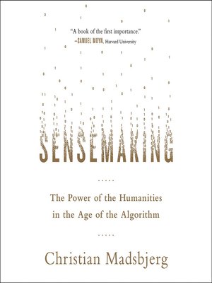Sensemaking - Audiobook